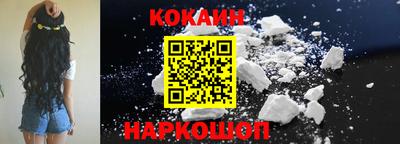 крисы Моздок