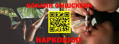 крисы Моздок