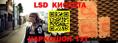 крисы Моздок