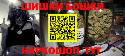 крисы Моздок