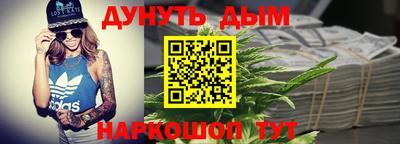 крисы Моздок