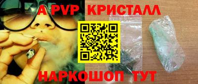 крисы Моздок