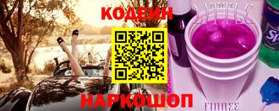 крисы Моздок