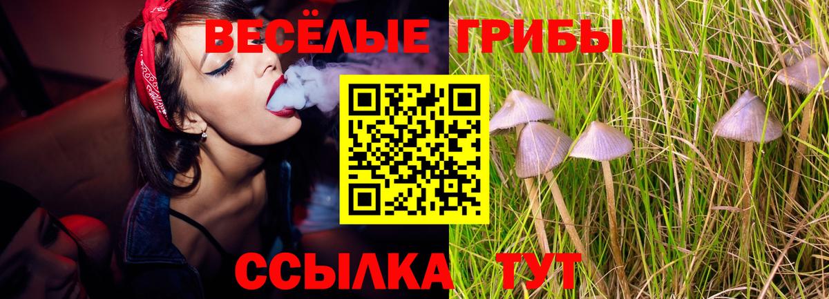 Галлюциногенные грибы MAGIC MUSHROOMS Вязьма