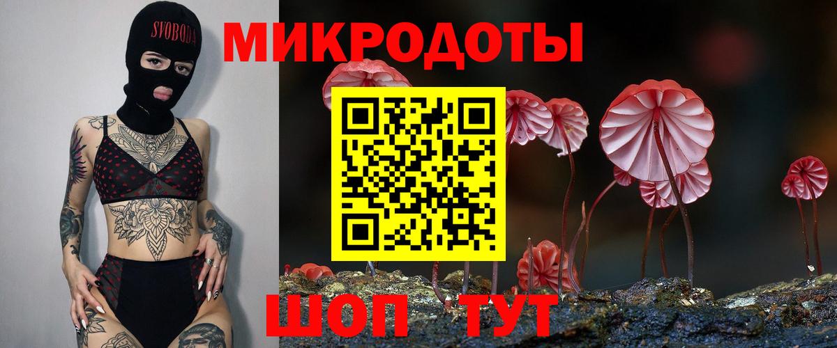 Вязьма  Псилоцибиновые грибы GOLDEN TEACHER  Галлюциногенные грибы мухоморы  Вход с VPN 